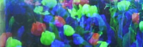 Alyse Burnside banner