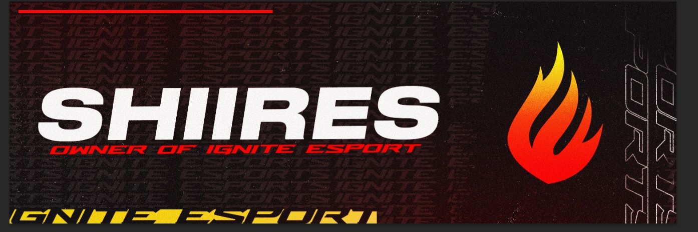 Shiires banner