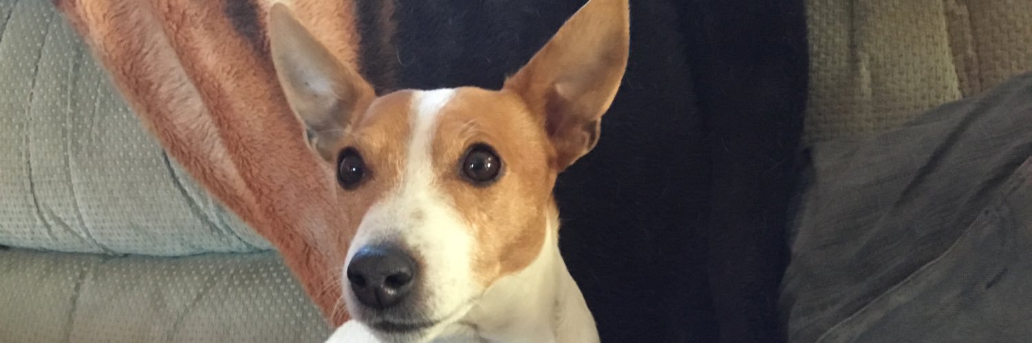 brendastpierre5's profile banner image