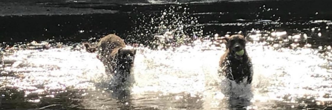 MomChessie's profile banner image