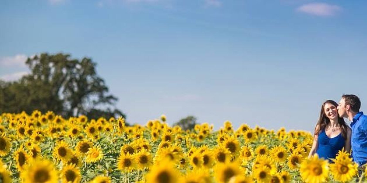 mkPhotographers's profile banner image