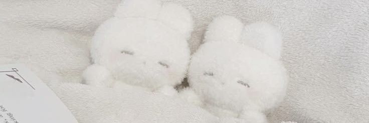 misonya0x0's profile banner image