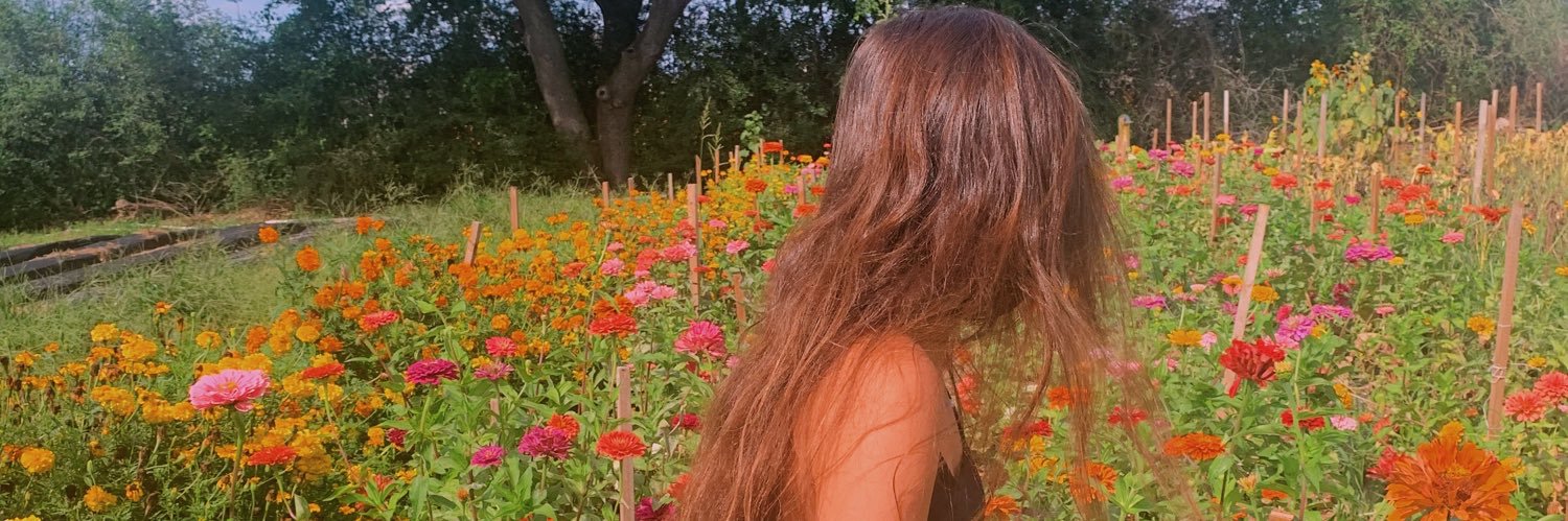 peytoncpayne's profile banner image