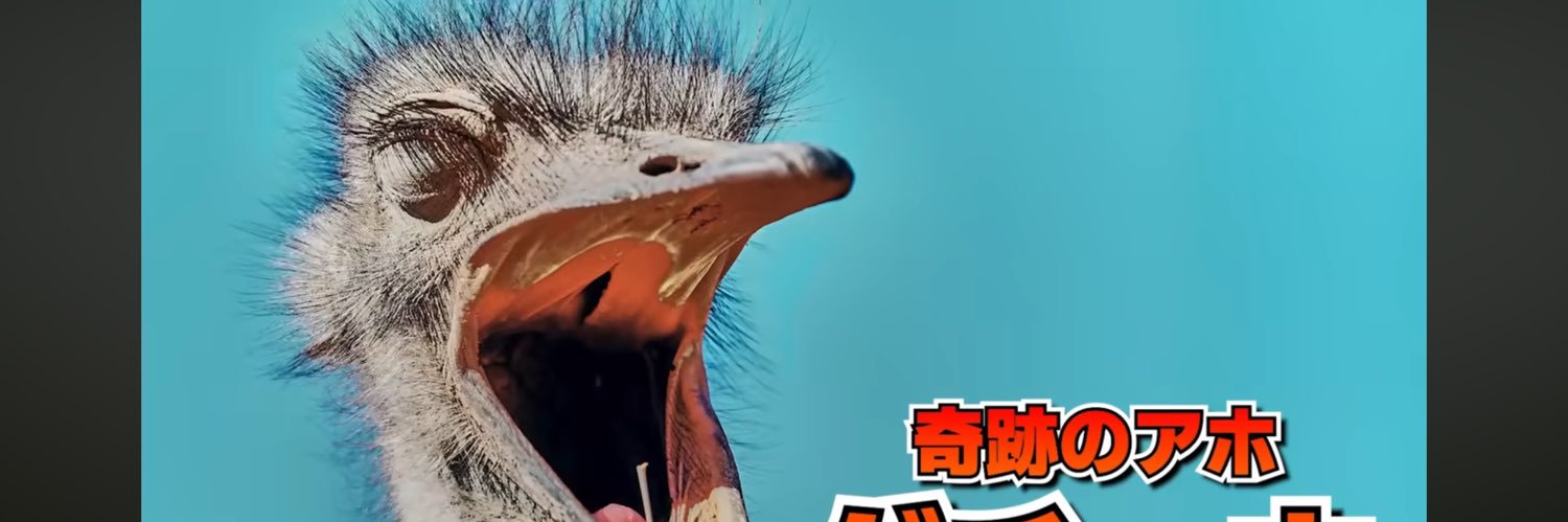 ヤッタﾃﾞｪ banner