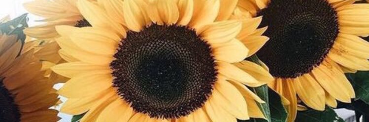 katerin301's profile banner image