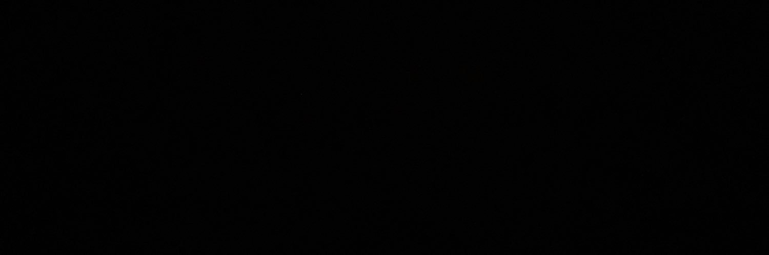 piquinski's profile banner image