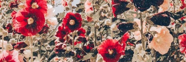 FloorColmaan's profile banner image