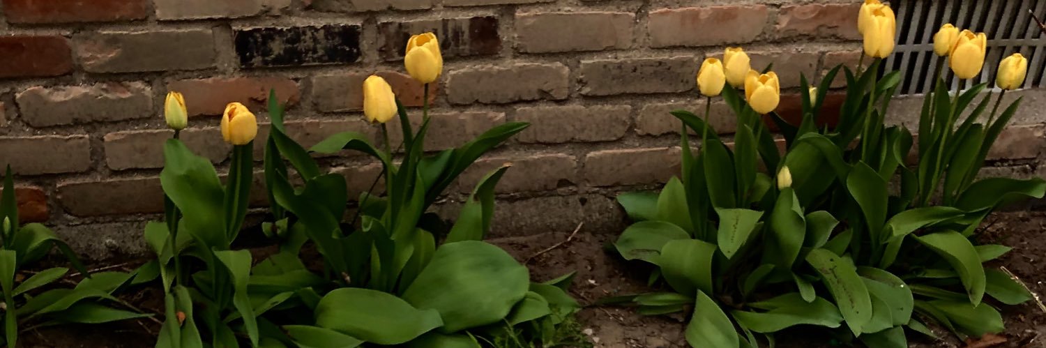 kinzy_03_'s profile banner image