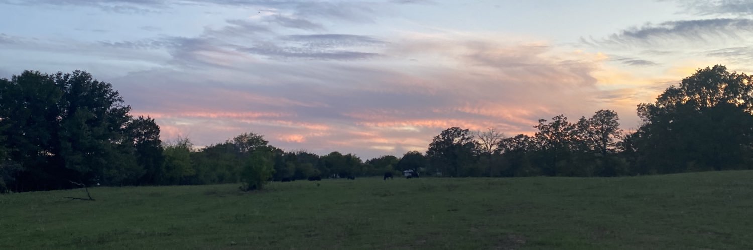 ColemanSpring's profile banner image