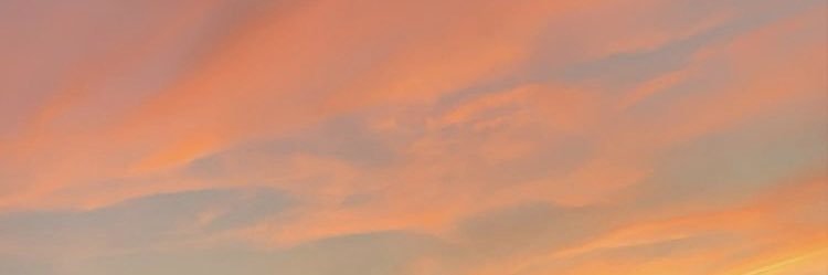 _brookcollins's profile banner image