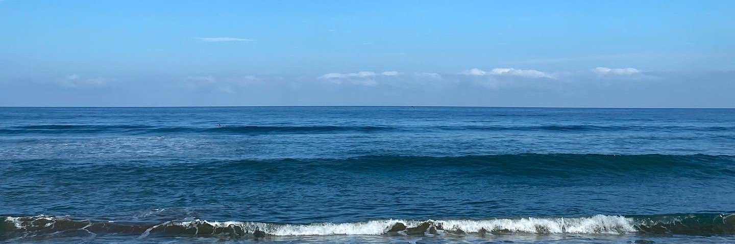 Fanny Cedeño banner