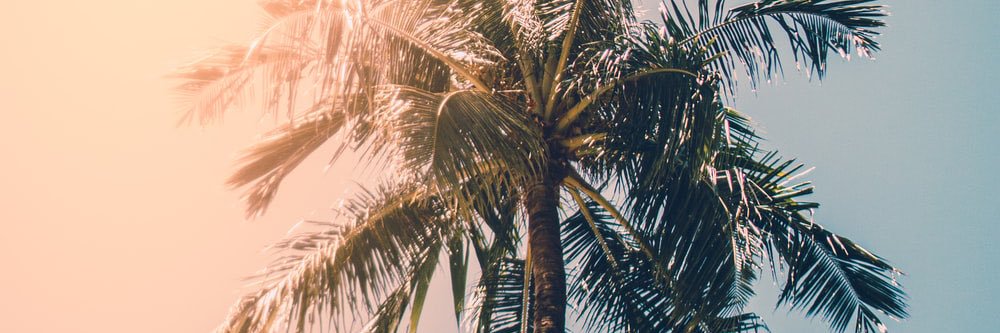keekee_32's profile banner image