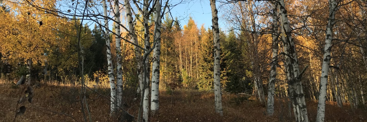 James Steidle banner