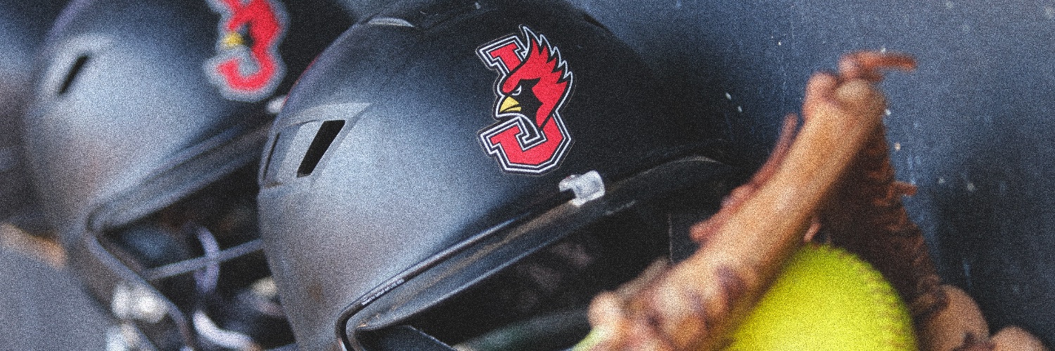 jewellsoftball's profile banner image
