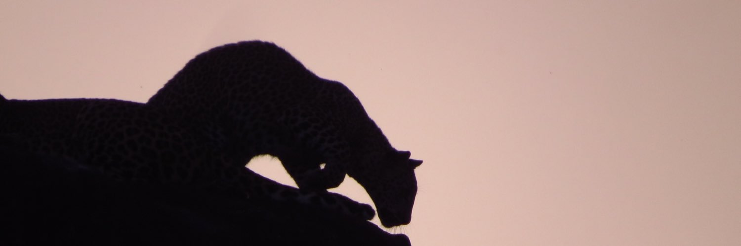 tilakn's profile banner image