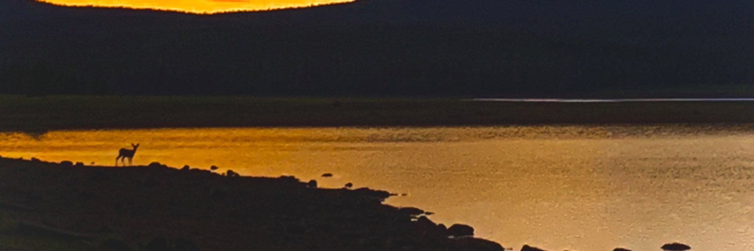 Heanderthal's profile banner image