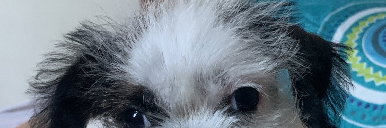 tinadimas's profile banner image