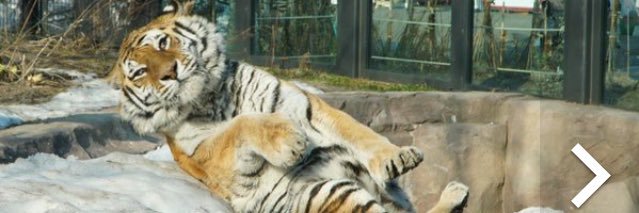 chamcham0414's profile banner image