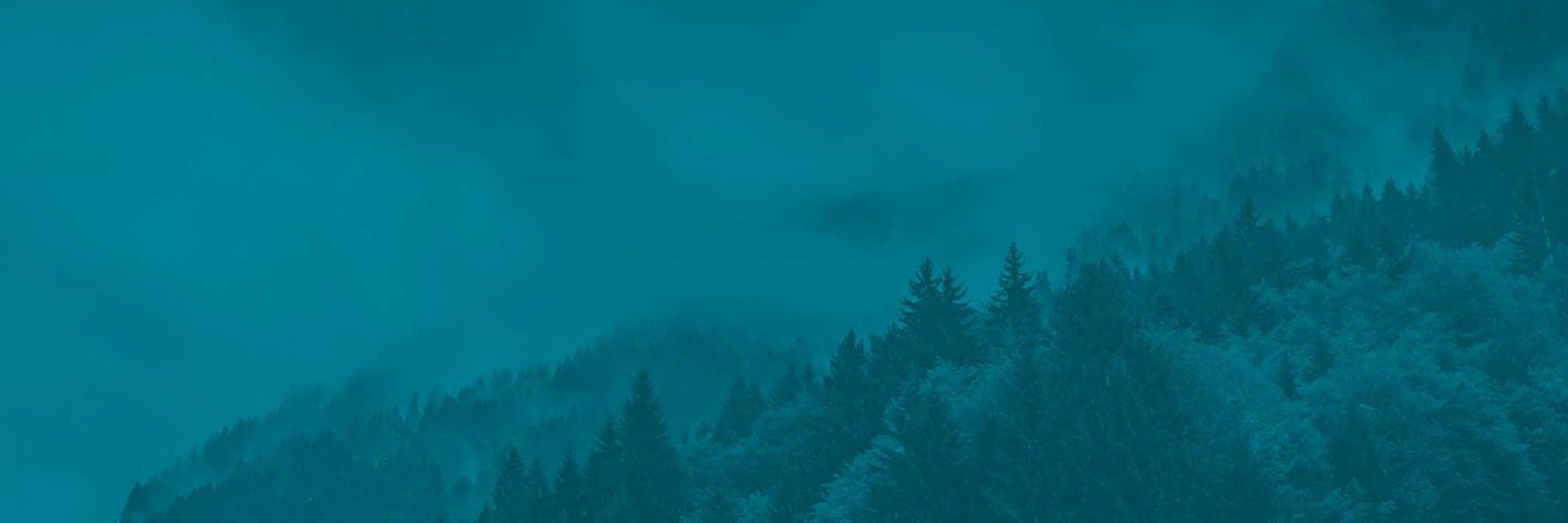 4C Climate Carbon H2020's banner