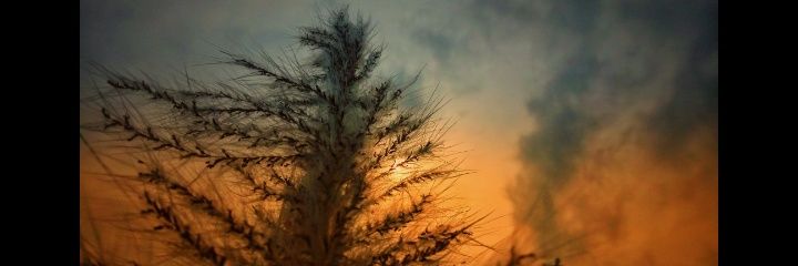 Promiti_'s profile banner image