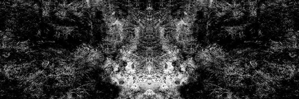 mic_tiz Profile Banner