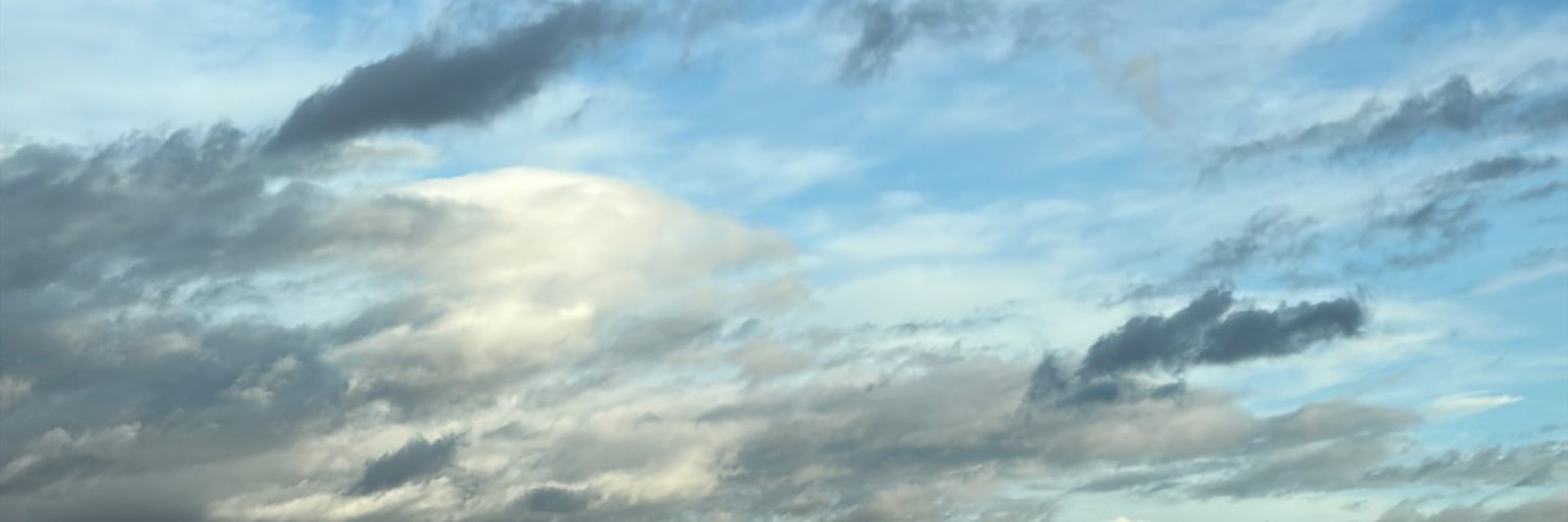 Sandra Fernández Herranz banner