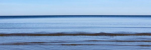 BarbaraRogala4 Profile Banner