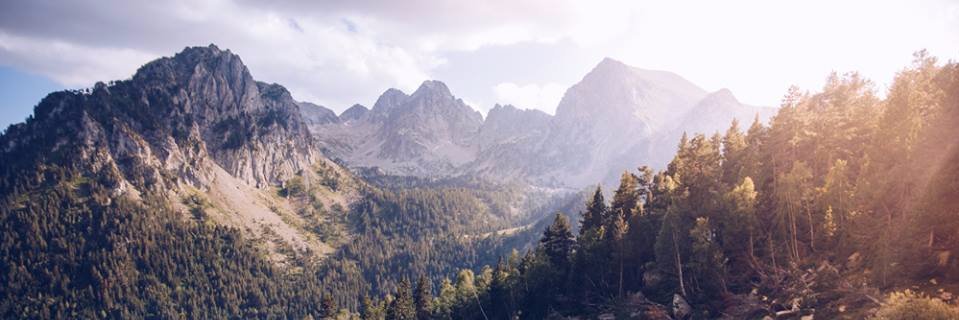 xavierboluda's profile banner image