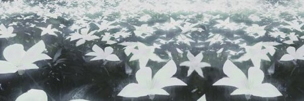 Diviously Profile Banner