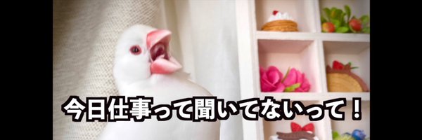 bunkitisan Profile Banner