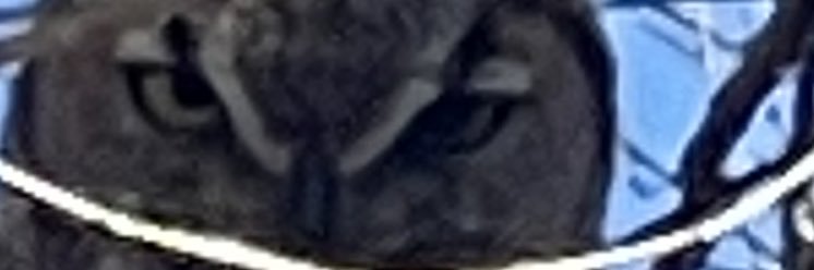 dabing727's profile banner image