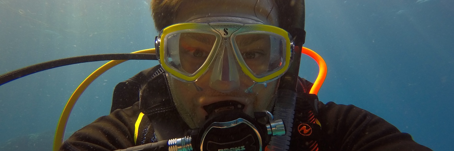 Wolfgang Muhsal banner