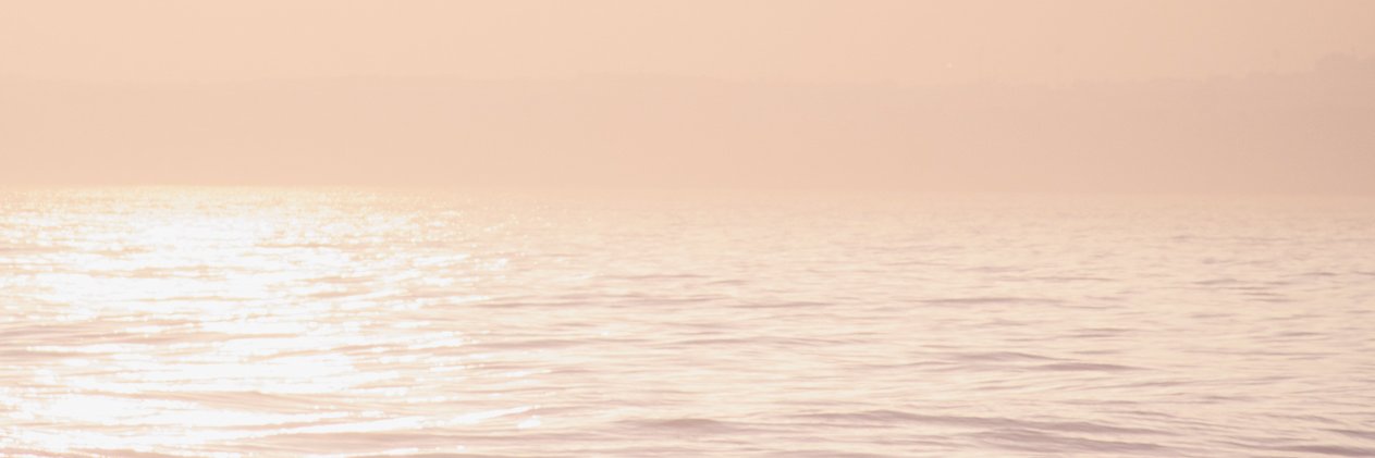 seamistral's profile banner image