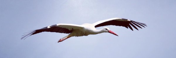 DevonTwitcher Profile Banner
