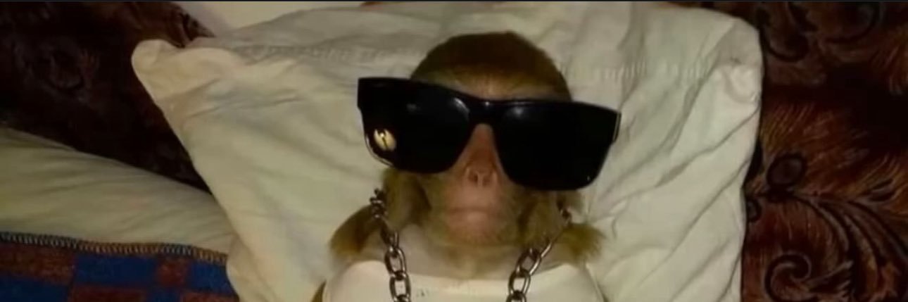 ferrergabr's profile banner image