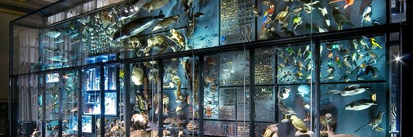 CIBD_mfnberlin Profile Banner