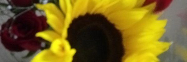 dianiscavazos Profile Banner