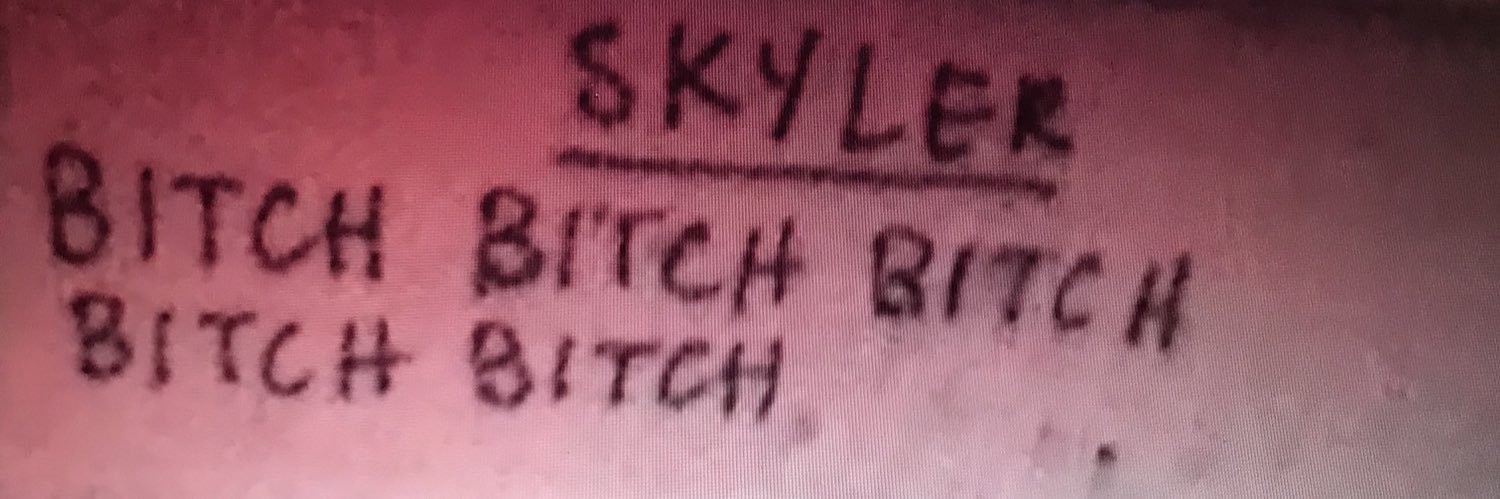 skylereejones's profile banner image