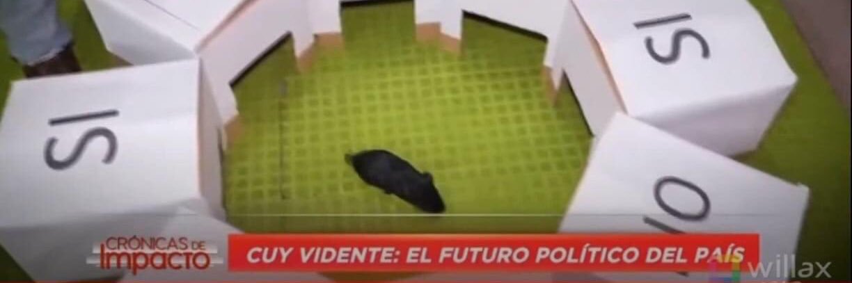 Museo Peruano de Internet banner