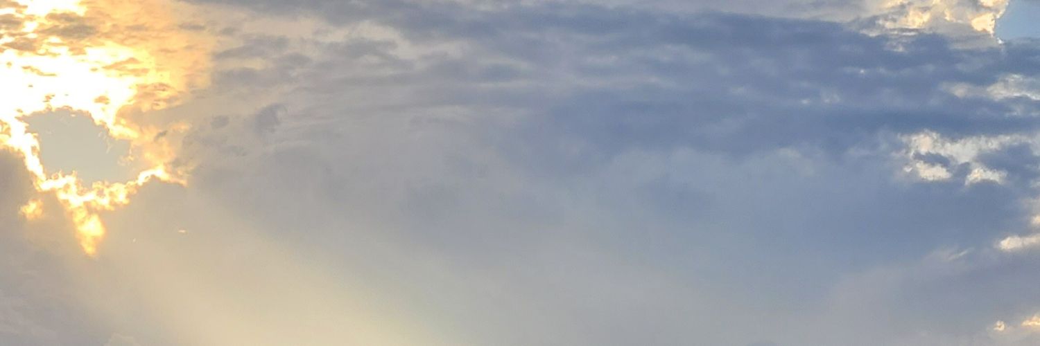 Magnolia_666's profile banner image