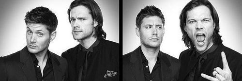 TWDawn77's profile banner image