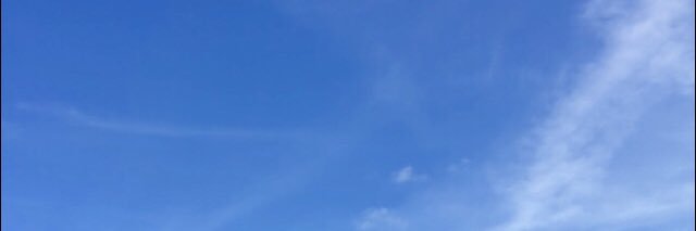 laurenwarner98's profile banner image