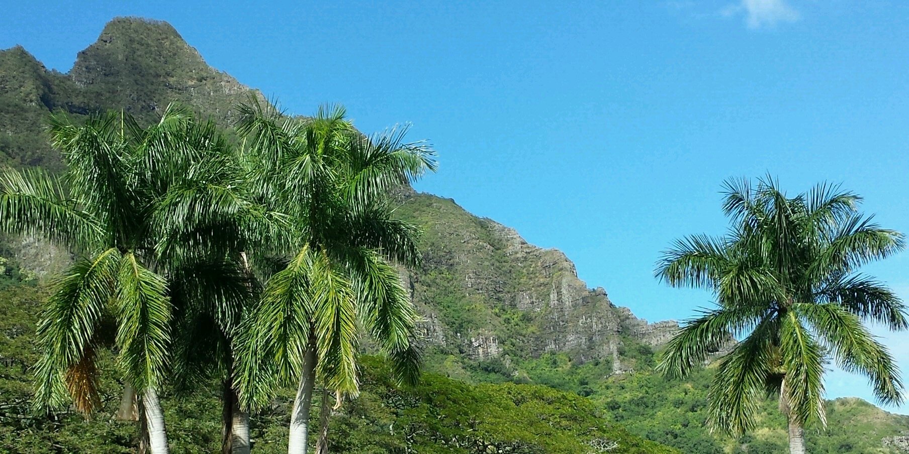 AdamForsee's profile banner image