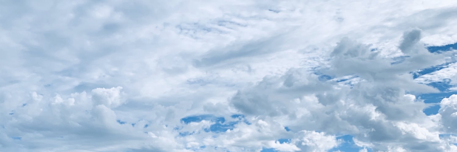 Leslie Simpson banner