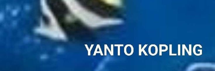 anjgni's profile banner image