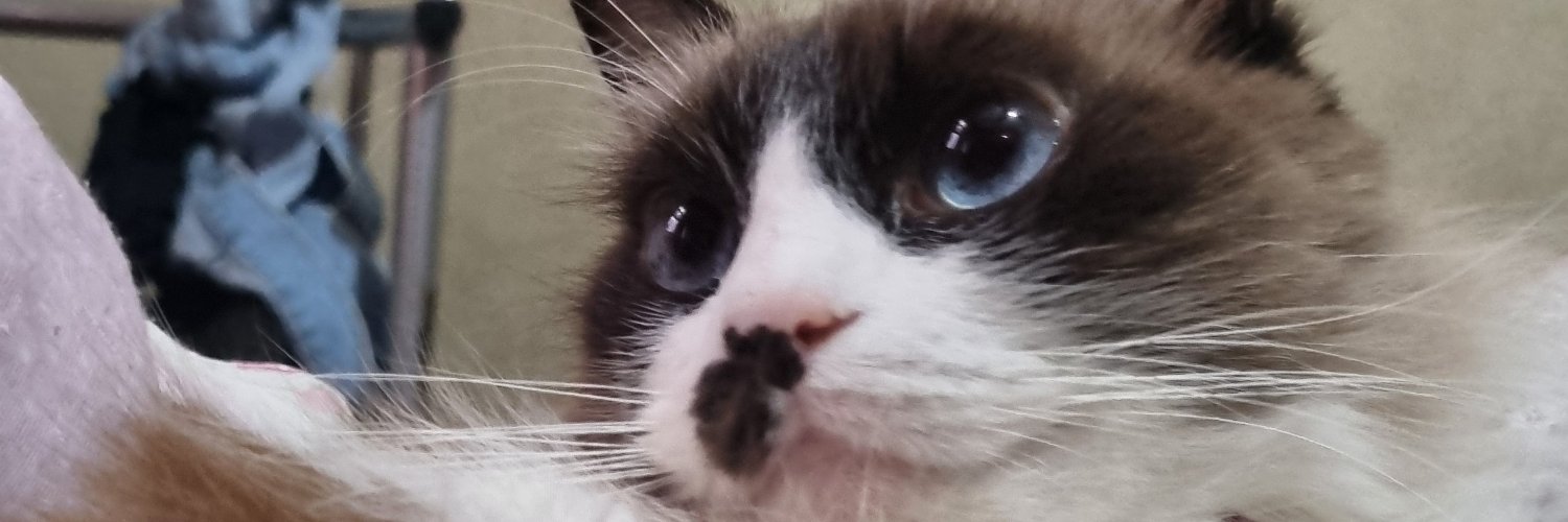 artpoectly's profile banner image