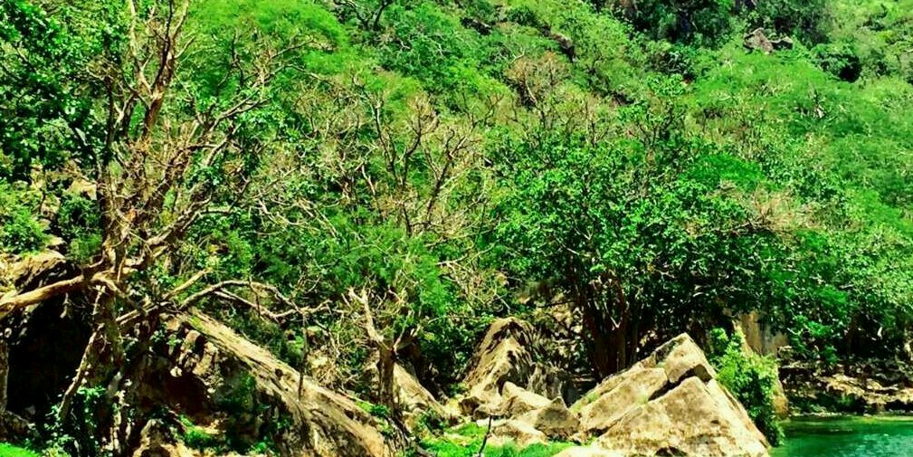 humood1972's profile banner image