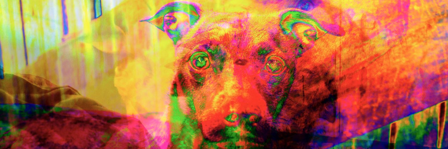 XDiariesLLC's profile banner image