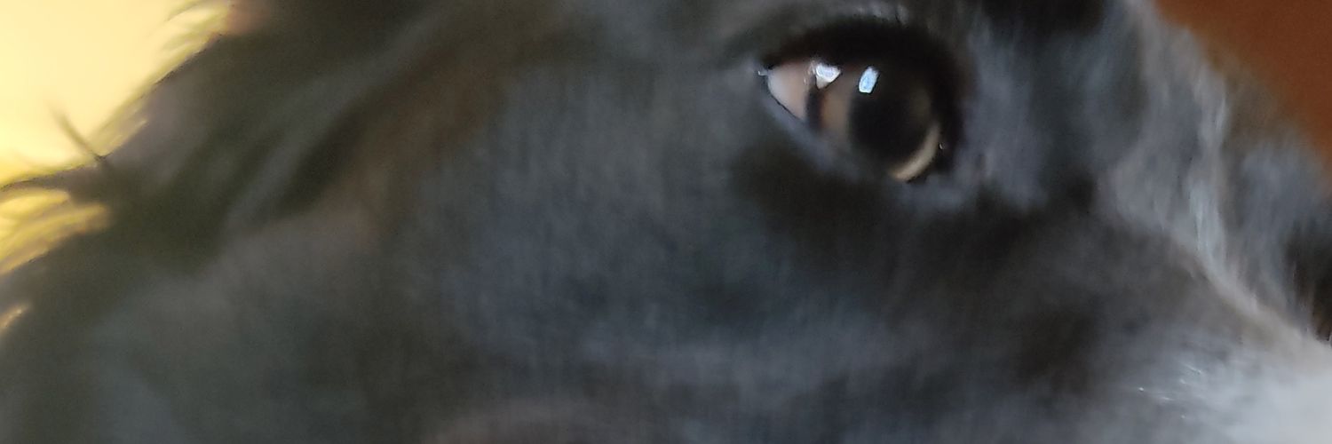 lacamg1's profile banner image