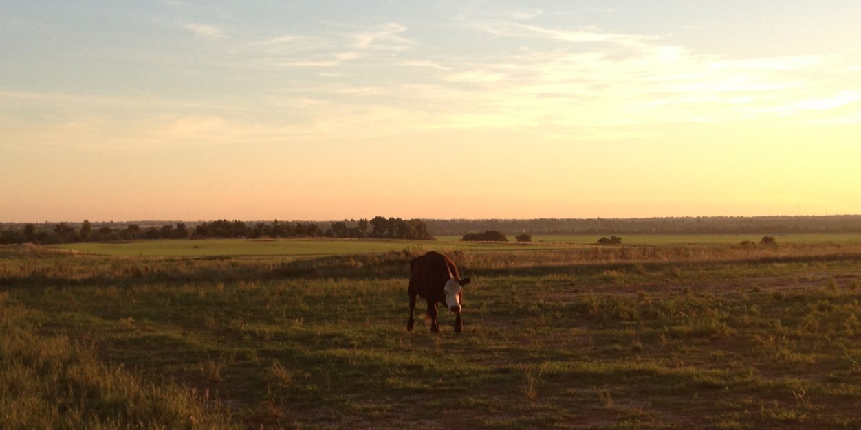 smalltowninok's profile banner image